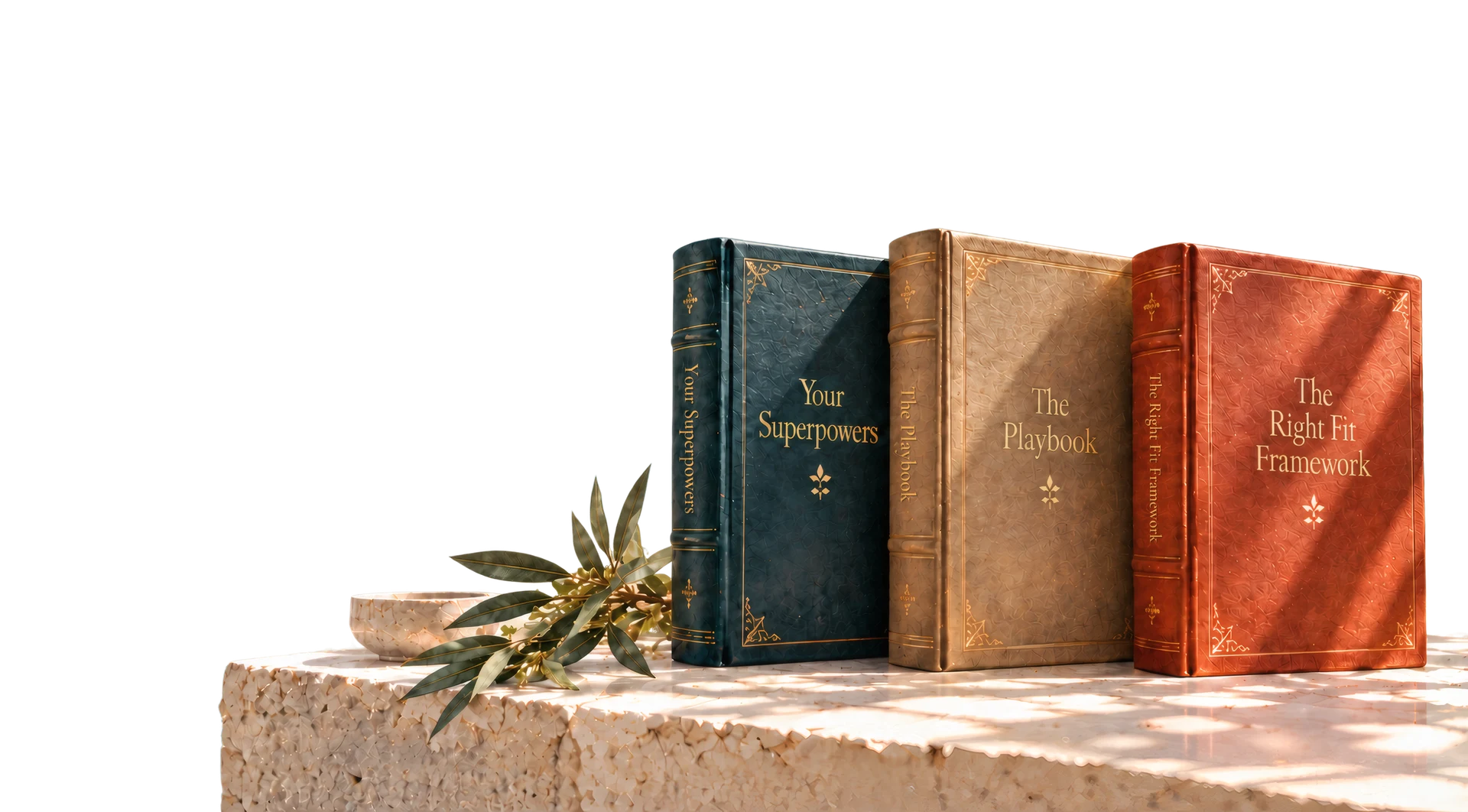 Three Primrose Guides on a stone ledge in warm light: Your Superpowers, The Playbook and The Right Fit Framework.
